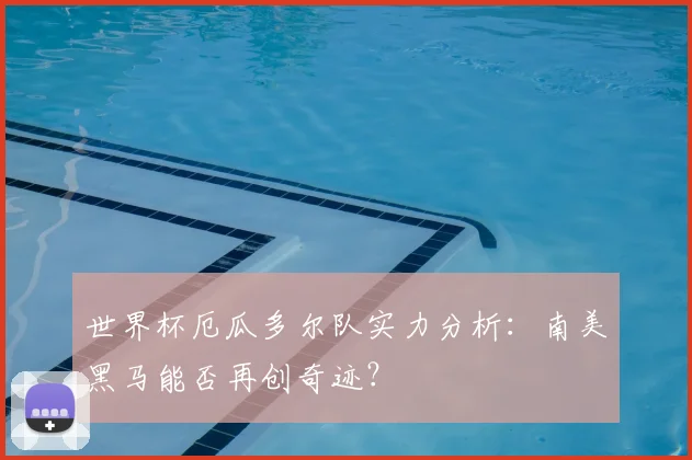 世界杯厄瓜多尔队实力分析：南美黑马能否再创奇迹？